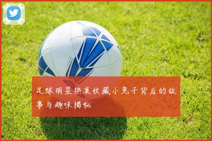 足球明星热衷收藏小兔子背后的故事与趣味揭秘
