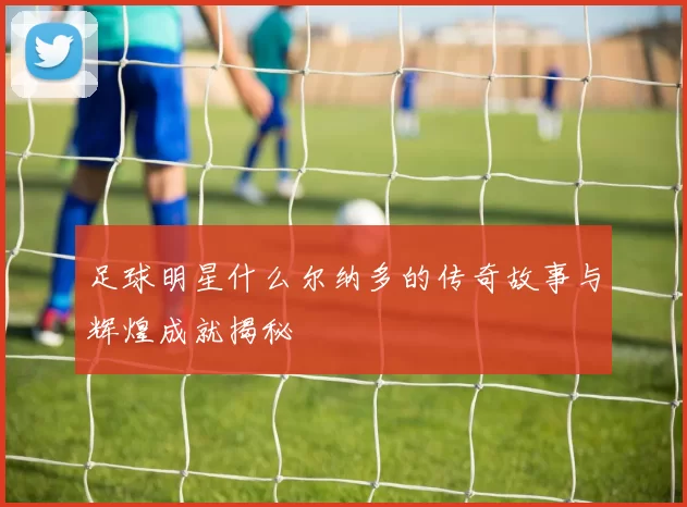 足球明星什么尔纳多的传奇故事与辉煌成就揭秘