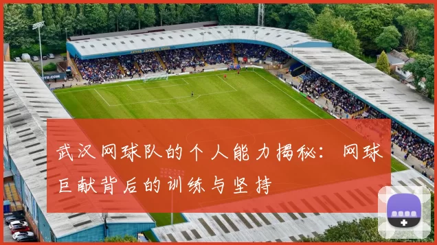 武汉网球队的个人能力揭秘：网球巨献背后的训练与坚持