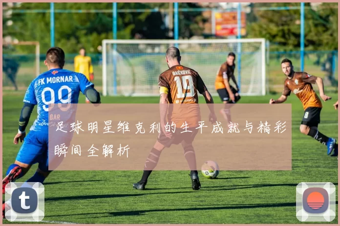 足球明星维克利的生平成就与精彩瞬间全解析