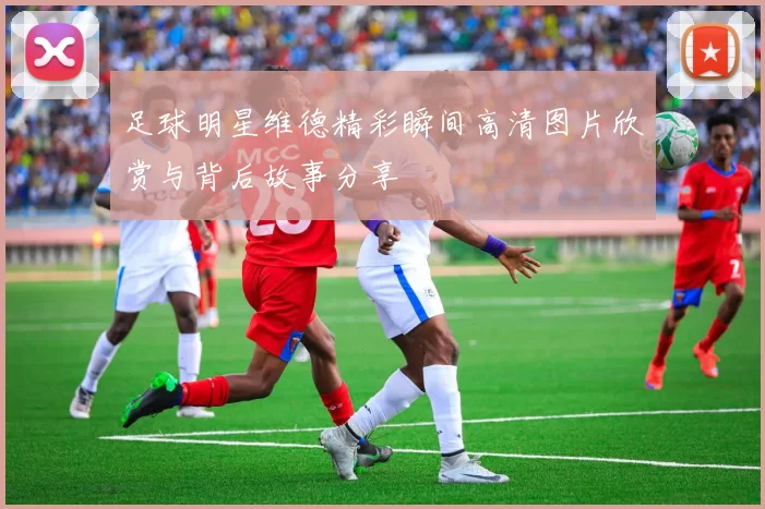 足球明星维德精彩瞬间高清图片欣赏与背后故事分享