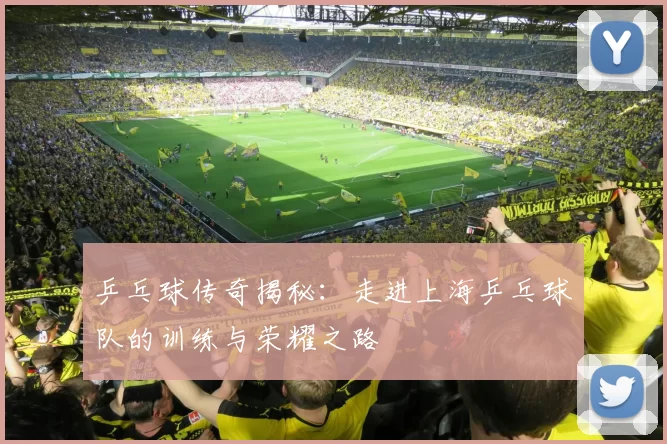 乒乓球传奇揭秘：走进上海乒乓球队的训练与荣耀之路