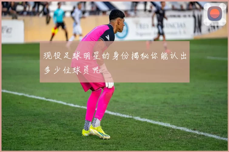 现役足球明星的身份揭秘你能认出多少位球员呢