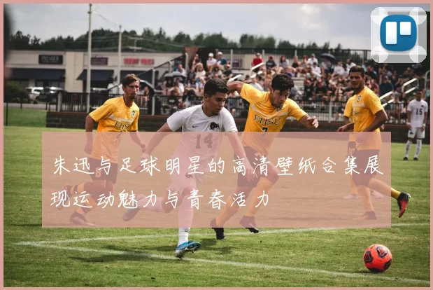 朱迅与足球明星的高清壁纸合集展现运动魅力与青春活力
