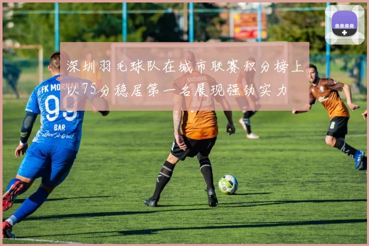 深圳羽毛球队在城市联赛积分榜上以75分稳居第一名展现强劲实力
