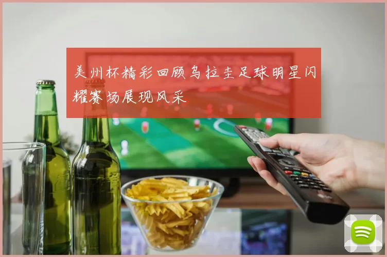 美州杯精彩回顾乌拉圭足球明星闪耀赛场展现风采