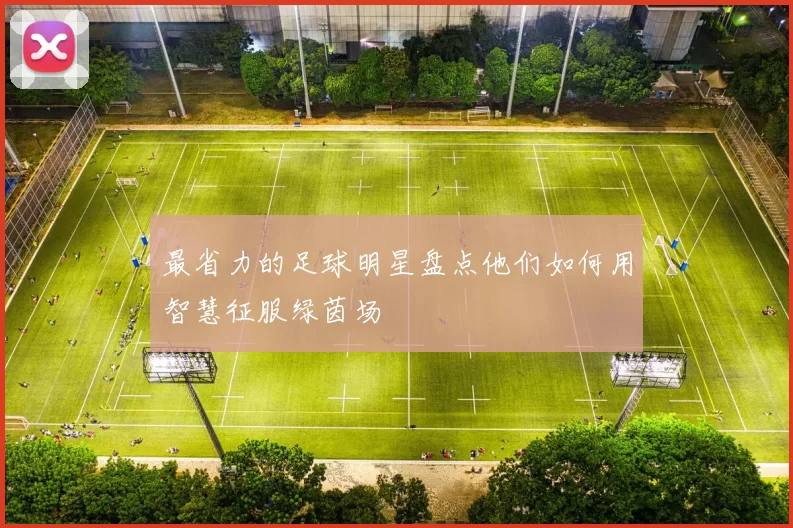 最省力的足球明星盘点他们如何用智慧征服绿茵场