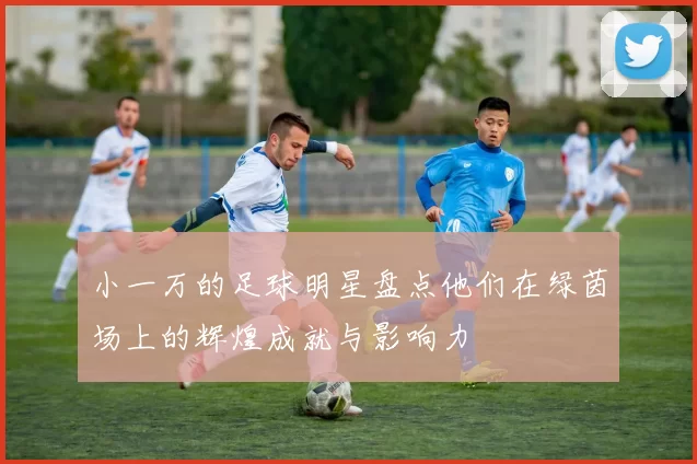 小一万的足球明星盘点他们在绿茵场上的辉煌成就与影响力