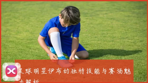 足球明星伊布的独特技能与赛场魅力解析
