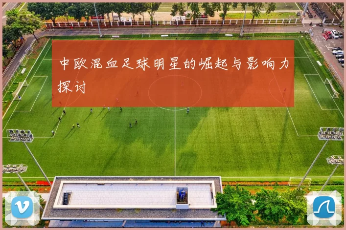 中欧混血足球明星的崛起与影响力探讨