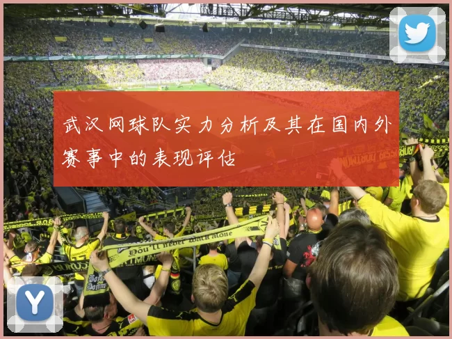 武汉网球队实力分析及其在国内外赛事中的表现评估