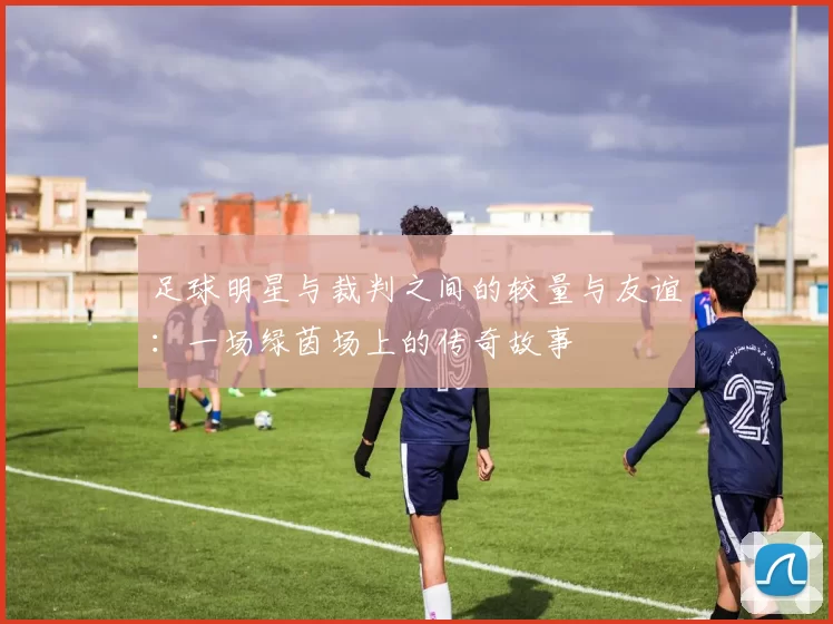 足球明星与裁判之间的较量与友谊：一场绿茵场上的传奇故事