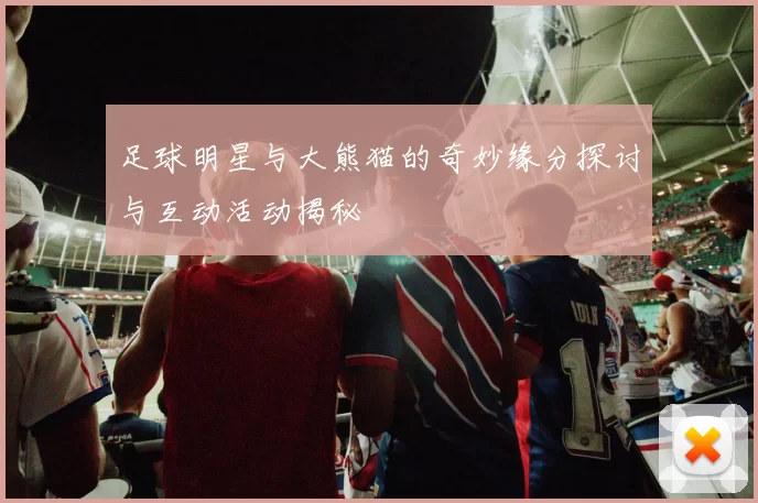 足球明星与大熊猫的奇妙缘分探讨与互动活动揭秘
